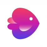 Invideo Editor